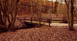 Photo-courtesy-of-mdemon-22old-wooden-bridge22-via-Flickr-260x140
